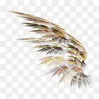 彩色翅膀羽毛素描图片 炫酷翅膀-空若网 彩色翅膀羽毛素描图片 炫酷翅膀-空若网