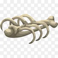 白色的骨架-空若网 白色的骨架-空若网