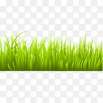 �����̲�-������