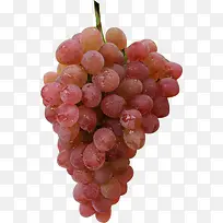 水果素材-空若网 水果素材-空若网