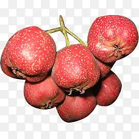 水果素材-空若网 水果素材-空若网