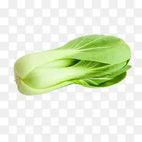 小油菜图片免扣素材-空若网 小油菜图片免扣素材-空若网