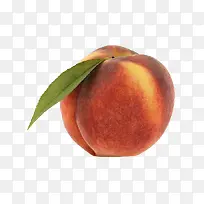 桃子-空若网 桃子-空若网