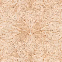 ���Ż��Ʊ���-������