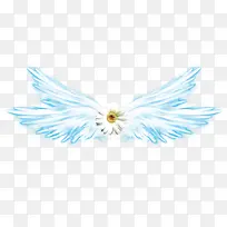 白色菊花蓝白色翅膀-空若网 白色菊花蓝白色翅膀-空若网