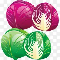 圆白菜png矢量素材-空若网 圆白菜png矢量素材-空若网