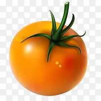 西红柿素材-空若网 西红柿素材-空若网