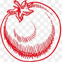 西红柿png矢量素材-空若网 西红柿png矢量素材-空若网