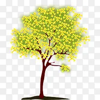 开花的树-空若网 开花的树-空若网