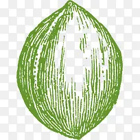 手绘碧根果-空若网 手绘碧根果-空若网