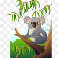 考拉剪贴画-可爱的考拉-空若网 考拉剪贴画-可爱的考拉-空若网