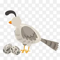 手绘小鸟-空若网 手绘小鸟-空若网