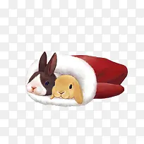 手绘手套中的两只小兔子-空若网 手绘手套中的两只小兔子-空若网