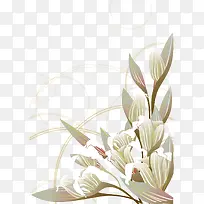 º«Ê½×°Êλ¨ÎÆËزÄ-¿ÕÈôÍø º«Ê½×°Êλ¨ÎÆËزÄ-¿ÕÈôÍø