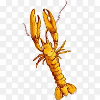 海洋动物龙虾矢量图-空若网 海洋动物龙虾矢量图-空若网