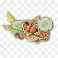 卡通植物果实-空若网 卡通植物果实-空若网