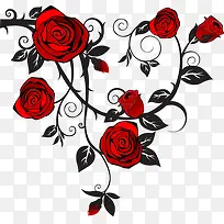 玫瑰花素材-空若网 玫瑰花素材-空若网