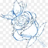 花朵-空若网 花朵-空若网