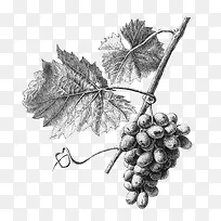 �ֻ�-������