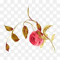 õ¹å»¨²å»-¿ÕÈôÍø õ¹å»¨²å»-¿ÕÈôÍø