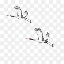 飞翔的仙鹤-空若网 飞翔的仙鹤-空若网