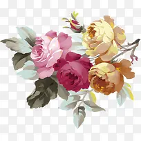 手绘多彩菊花-空若网 手绘多彩菊花-空若网