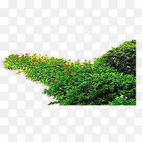 清新绿草园林设计元素-空若网 清新绿草园林设计元素-空若网