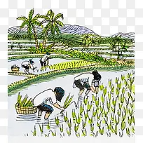 手绘插图农地插秧农忙场景-空若网 手绘插图农地插秧农忙场景-空若网