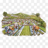水彩插图农地种植水稻插秧插画-空若网 水彩插图农地种植水稻插秧插画-空若网