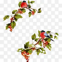 ��֦�ϵ�С��-������