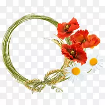 �����ռǼ�������-Kartikeya-������