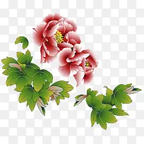 �ʻ�����Ҷ-������