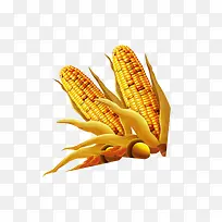 玉米-空若网 玉米-空若网