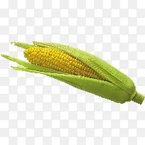 蔬菜-空若网 蔬菜-空若网