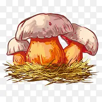 手绘蘑菇 食物 草菇 植物 食品-空若网 手绘蘑菇 食物 草菇 植物 食品-空若网