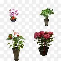 ��Ʒʵ��-������