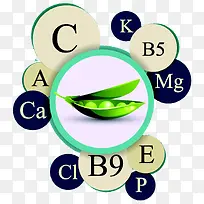 绿色扁豆蔬菜图标-空若网 绿色扁豆蔬菜图标-空若网