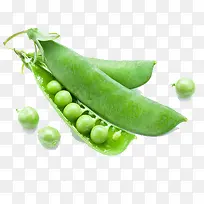 扁豆-空若网 扁豆-空若网