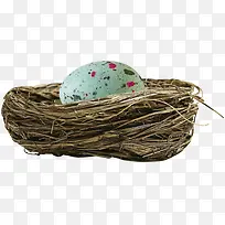 彩色鸟蛋-空若网 彩色鸟蛋-空若网