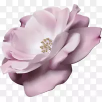 计算机软件adobe动画adobe系统png文件格式.木兰-空若网 计算机软件adobe动画adobe系统png文件格式.木兰-空若网