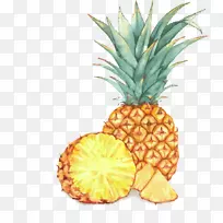 水果水彩画插图.金菠萝-空若网 水果水彩画插图.金菠萝-空若网