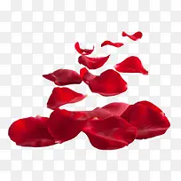 õ�廨��-������