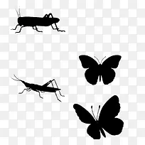 黑色的昆虫-空若网 黑色的昆虫-空若网