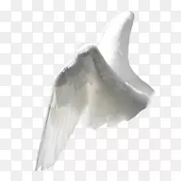 ��ʹ��������-������