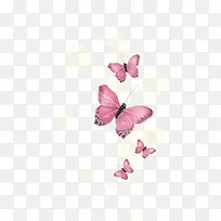 蝴蝶图案-空若网 蝴蝶图案-空若网