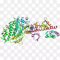 ���򵰰׼������׽ṹ��������-������