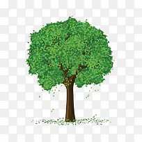 彩色手绘古树-空若网 彩色手绘古树-空若网