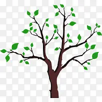 ´ºÊ÷-¿ÕÈôÍø ´ºÊ÷-¿ÕÈôÍø