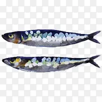 卡通手绘卡通秋刀鱼-空若网 卡通手绘卡通秋刀鱼-空若网