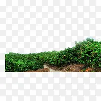 ��ʵ��˶â����-������